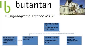 organograma NIT IB
